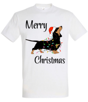 Merry tacsi