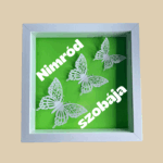 Világoszöld-fehér pillangó 3D kép