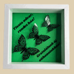 Sötétzöld-fekete pillangó 3D kép